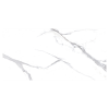 CERADIM Керамогранит Calacatta Splendid Silver 600х1200мм. Белый матовый